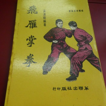 黃漢勛 飛雁掌拳