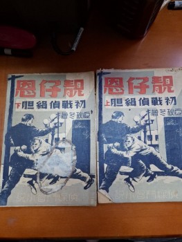 靚仔恩初戰偵緝胆 上下 夏秋冬