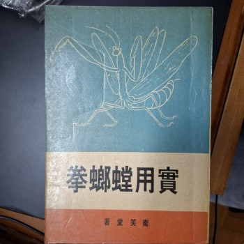 實用螳螂拳