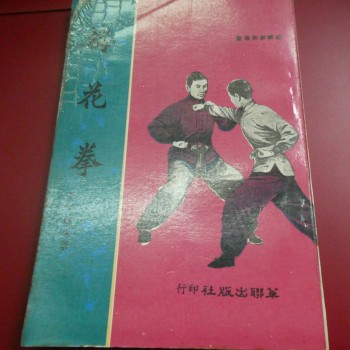 黃漢勛 梅花拳