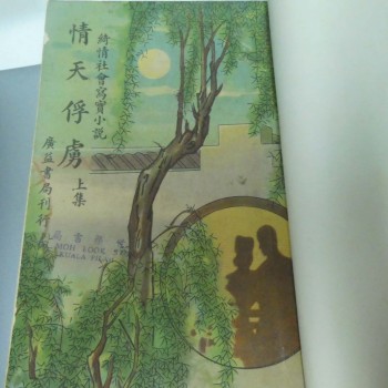 情天俘虜(綺情社會寫實小說)